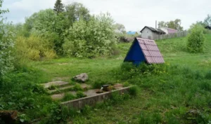 Такси до Берендеевки
